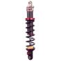Buy ELKA Suspension STAGE 2 REAR Shocks APEX PRO 70 / 90 / 100 by Elka Suspension for only $399.99 at Racingpowersports.com, Main Website.