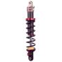 Buy ELKA Suspension STAGE 2 REAR Shocks KASEA SKYHAWK 90 by Elka Suspension for only $450.00 at Racingpowersports.com, Main Website.