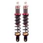 Buy ELKA Suspension STAGE 1 IFP Front Shocks Can-Am Ryker 600 2019-2021 by Elka Suspension for only $800.00 at Racingpowersports.com, Main Website.