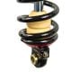 Buy ELKA Suspension STAGE 4 FRONT Shocks CAN-AM SPYDER F3-S 2015-2024 by Elka Suspension for only $1,550.00 at Racingpowersports.com, Main Website.