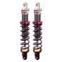 Buy ELKA Suspension STAGE 2 REAR Shocks HONDA RINCON 680 2006-2014 by Elka Suspension for only $950.00 at Racingpowersports.com, Main Website.