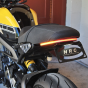 Buy New Rage Cycles Standard Fender Eliminator for Yamaha XSR 900 2016+ by New Rage Cycles for only $175.00 at Racingpowersports.com, Main Website.