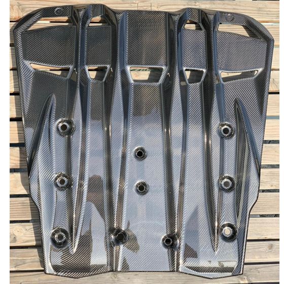 Buy Capristo Porsche 991.2 GT3/RS Carbon Fiber Engine Cover/Diffuser by Capristo Exhaust for only $2,700.00 at Racingpowersports.com, Main Website.