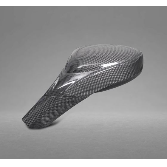 Buy Capristo Ferrari 458 Speciale Carbon Mirror Cases by Capristo Exhaust for only $3,000.00 at Racingpowersports.com, Main Website.