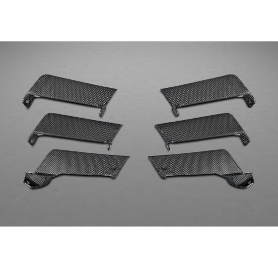 Buy Capristo Ferrari 458 Speciale Carbon Fiber Air Outlet Ribs by Capristo Exhaust for only $2,280.00 at Racingpowersports.com, Main Website.