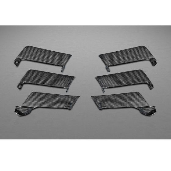 Buy Capristo Ferrari 458 Speciale Carbon Fiber Air Outlet Ribs by Capristo Exhaust for only $2,400.00 at Racingpowersports.com, Main Website.