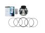 Buy CP Carrillo Yamaha Raptor 700 / Viking / Rhino M1094 Piston 102mm 12:1 OEM Bore by CP Carrillo for only $220.75 at Racingpowersports.com, Main Website.